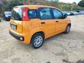 Fiat Panda Panda 1.2 Easy 69cv Arancione - thumbnail 3