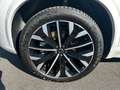 Volvo XC90 T8 Plus Dark FaceLift,7-Sitzer,Pano,360°,21 Weiß - thumbnail 26