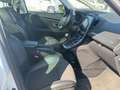 Renault Scenic IV Grand BOSE Edition | Panorama | 7 Sitz Weiß - thumbnail 14