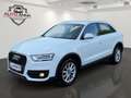 Audi Q3 2,0 TDI Quattro S-tronic*Servicegepflegt* Finanzi Weiß - thumbnail 1