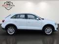Audi Q3 2,0 TDI Quattro S-tronic*Servicegepflegt* Finanzi Weiß - thumbnail 5
