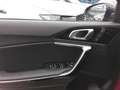 Kia ProCeed / pro_cee'd pro ceed 1,5 TGDI 48V GPF GT-Line DCT Rot - thumbnail 8