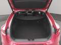 Kia ProCeed / pro_cee'd pro ceed 1,5 TGDI 48V GPF GT-Line DCT Rot - thumbnail 5