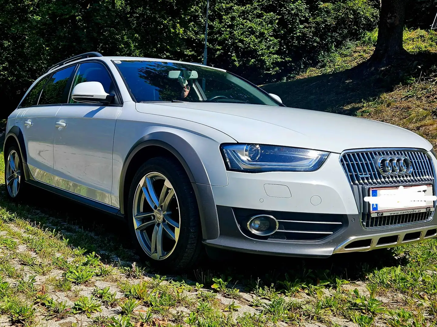 Audi A4 allroad A4 Allroad 2,0 TDI quattro Intense Intense Weiß - 2
