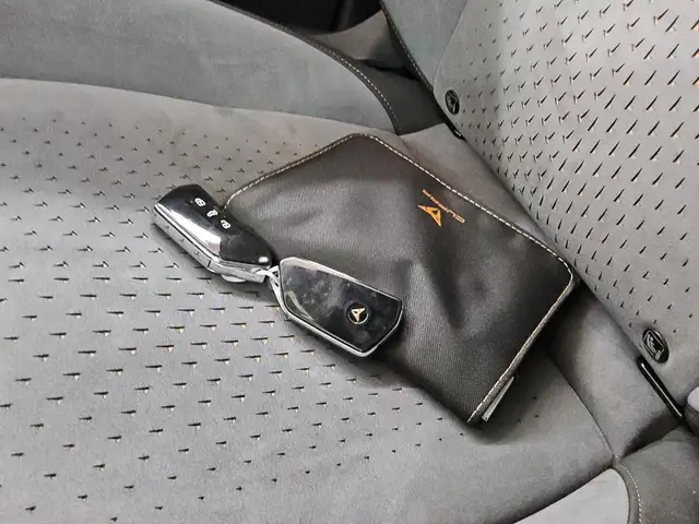 Cupra Born view 6