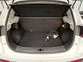 MG ZS Luxury 45 kWh Pano/Navi/Cam/SHZ/Leder Blanc - thumbnail 25