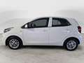 Kia Picanto 1.0 12V 5p. Urban Bianco - thumbnail 2