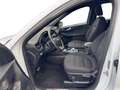 Ford Kuga 1.5 EcoBlue ST-Line + Winterpaket Blanc - thumbnail 12