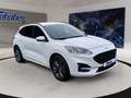 Ford Kuga 1.5 EcoBlue ST-Line + Winterpaket Blanc - thumbnail 3