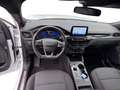 Ford Kuga 1.5 EcoBlue ST-Line + Winterpaket Blanc - thumbnail 15