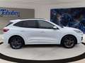 Ford Kuga 1.5 EcoBlue ST-Line + Winterpaket Blanc - thumbnail 4