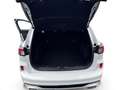 Ford Kuga 1.5 EcoBlue ST-Line + Winterpaket Blanc - thumbnail 16