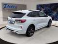 Ford Kuga 1.5 EcoBlue ST-Line + Winterpaket Blanc - thumbnail 5