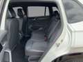 Volkswagen Tiguan R-Line 2.0 TDI Navi Kamera Standhzg. AHZV Weiß - thumbnail 12
