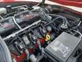 Corvette C6 Coupe Texas Speed Shop - thumbnail 13