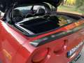 Corvette C6 Coupe Texas Speed Shop - thumbnail 10