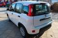 Fiat Panda MY23  Hybrid 1.0 GSE 51kw (70PS) Weiß - thumbnail 5