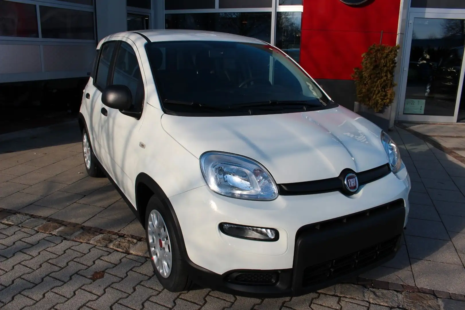 Fiat Panda MY23  Hybrid 1.0 GSE 51kw (70PS) Weiß - 1