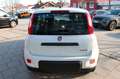 Fiat Panda MY23  Hybrid 1.0 GSE 51kw (70PS) Weiß - thumbnail 4