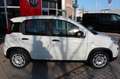 Fiat Panda MY23  Hybrid 1.0 GSE 51kw (70PS) Weiß - thumbnail 2