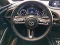 Mazda CX-30 Selection+i-ACTIVSENSE+BOSE+1.HAND+360°KAMERA+ELEK Rouge - thumbnail 10