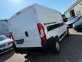 Citroen Jumper Kasten 30 L1H1 Control BlueHDi 120 Start& Weiß - thumbnail 8