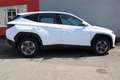 Hyundai TUCSON Tucson NX4 Smart Line 1,6 T-GDi 2WD t5bs1-P3 Blanco - thumbnail 5