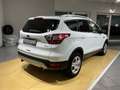 Ford Kuga Trend *SHZ*LHZ*Bluetooth*8Fach-Bereift*AHK* Weiß - thumbnail 3