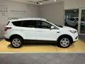 Ford Kuga Trend *SHZ*LHZ*Bluetooth*8Fach-Bereift*AHK* Weiß - thumbnail 2