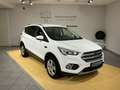 Ford Kuga Trend *SHZ*LHZ*Bluetooth*8Fach-Bereift*AHK* Weiß - thumbnail 1