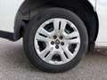 Fiat Doblo Cargo III Fourgon Phase 2 1.3 MJTD 16V 95 cv Fourgon court Wit - thumbnail 29