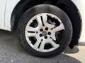 Fiat Doblo Cargo III Fourgon Phase 2 1.3 MJTD 16V 95 cv Fourgon court Wit - thumbnail 31