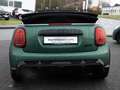 MINI Cooper Cabrio JCW Trim FACEL. LED NAVI KAMERA Grün - thumbnail 6