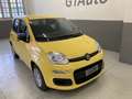 Fiat Panda 1.0 FireFly S&S Hybrid Jaune - thumbnail 2