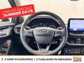 Ford Puma 1.0 ecoboost h titanium x s&s 125cv Grigio - thumbnail 19