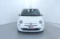 Fiat 500 1.0 Hybrid Tetto panoramico/Neopatentati/Uconnect Bianco - thumbnail 2