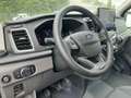 Ford Transit Doppelkabine Trend DoKa *AHK*Klima*RFK* Roşu - thumbnail 11