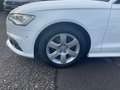 Audi A6 2.0TDI ultra S-tronic Pano CAM Navi Sit Weiß - thumbnail 6