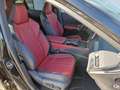 Lexus RX 500h F-Sport *Panoramaschiebedach* Grigio - thumbnail 10