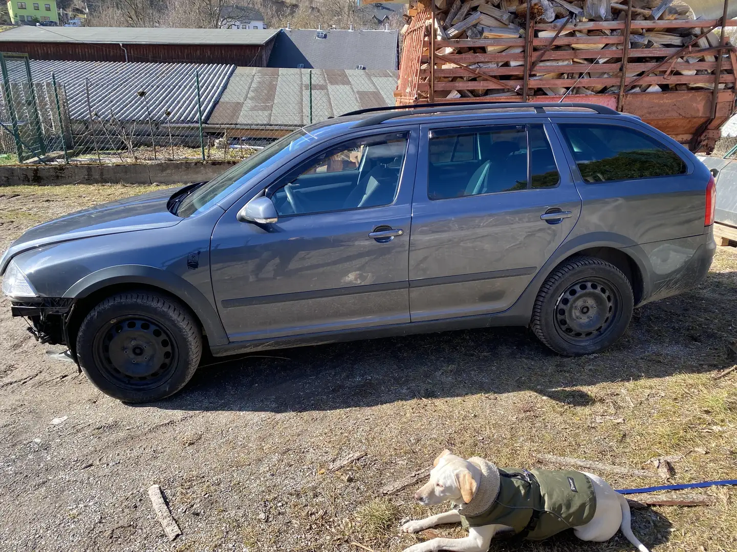 Skoda Octavia Skoda Octavia Scout 4x4 / Unfallwagen/ Motor läuf Grau - 1