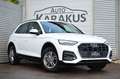 Audi Q5 40 TDI quattro S.line ACC/PANO/VIRTUAL Weiß - thumbnail 1