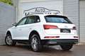 Audi Q5 40 TDI quattro S.line ACC/PANO/VIRTUAL Weiß - thumbnail 6