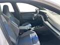 Volkswagen Golf VIII 2.0 TSI DSG 4Motion R DCC PANO*HUD*IQ-LIGH... Weiß - thumbnail 10
