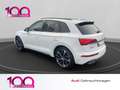 Audi SQ5 3.0 TDI quattro NAVI+AHK+PANO+LUFTF.+21''LM Bílá - thumbnail 4