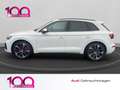 Audi SQ5 3.0 TDI quattro NAVI+AHK+PANO+LUFTF.+21''LM Білий - thumbnail 3