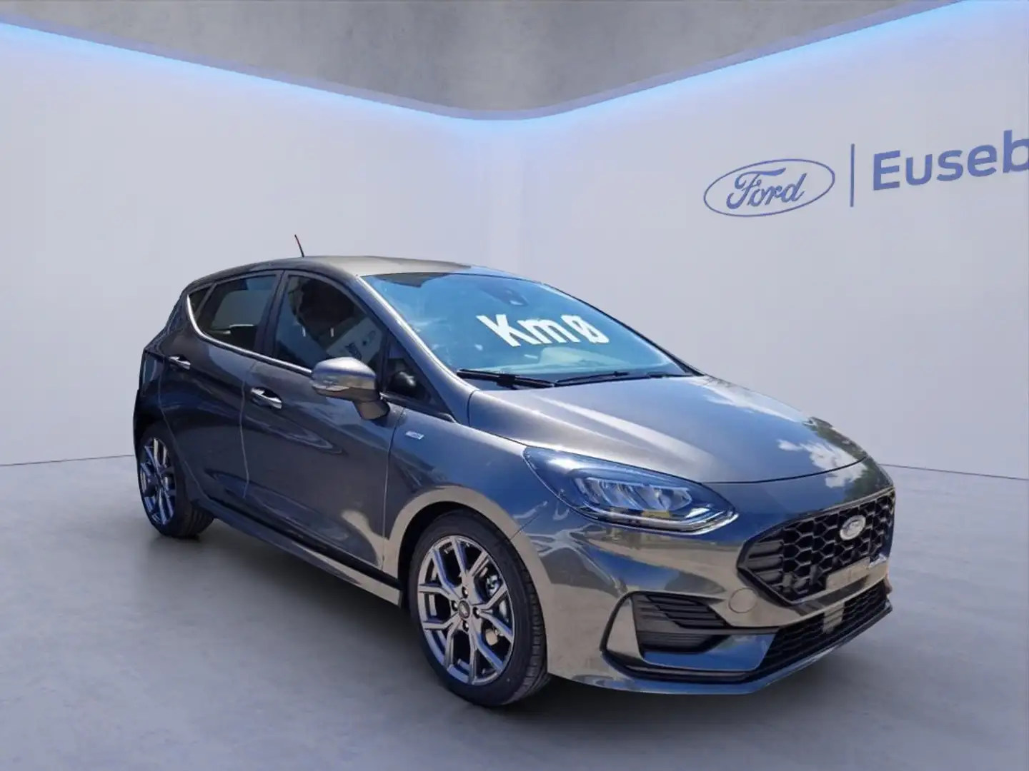 Ford Fiesta 1.0 Ecoboost Hybrid 125 CV 5 porte ST-Line Grigio - 1