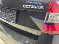 Skoda Octavia RS 4x4  Panorama Dach / Navi Negro - thumbnail 11