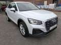 Audi Q2 30 TFSI Pro Line Blanc - thumbnail 11