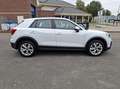 Audi Q2 30 TFSI Pro Line Blanc - thumbnail 6