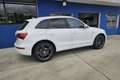 Audi Q5 2.0TDI quattro S-T 170 DPF Weiß - thumbnail 5